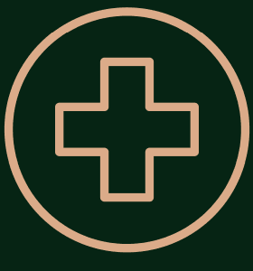 Medical services illustration